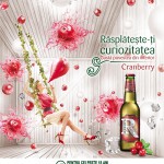 Redd's Cranberry 2