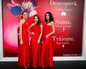 IMG-9390