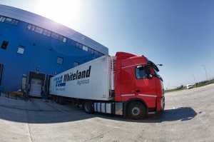 Whiteland-097