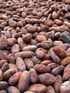 cacao