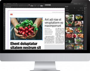 Shutterstock