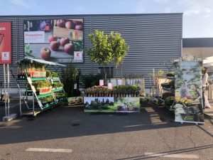 Kaufland