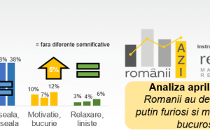 Reveal Marketing Research