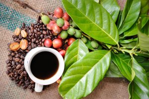 cafea