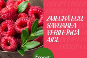 froopt