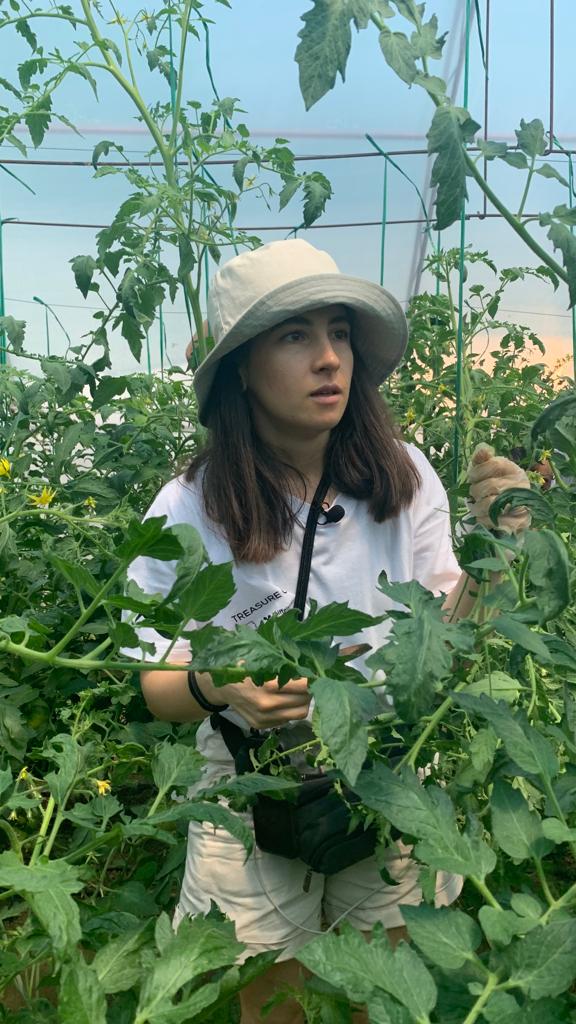 Acasă la Marieta și Ovidiu Ionași, producători de alimente bio listați pe site-ul Via Profi