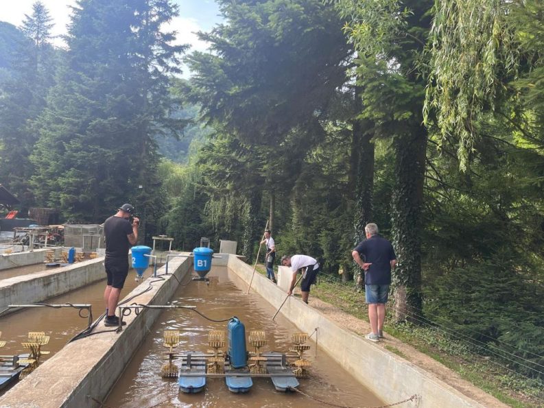 Prins de peste la Păstrăvăria făcută de Alina și Marian Ardelean