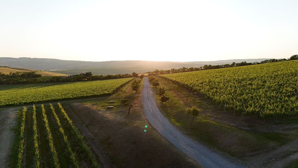 DJI_20250616193807_0062_D